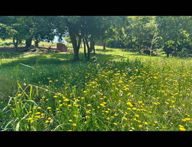 3 BEDROOM TOWNHOUSE FOR SALE IN HILTON CENTRAL